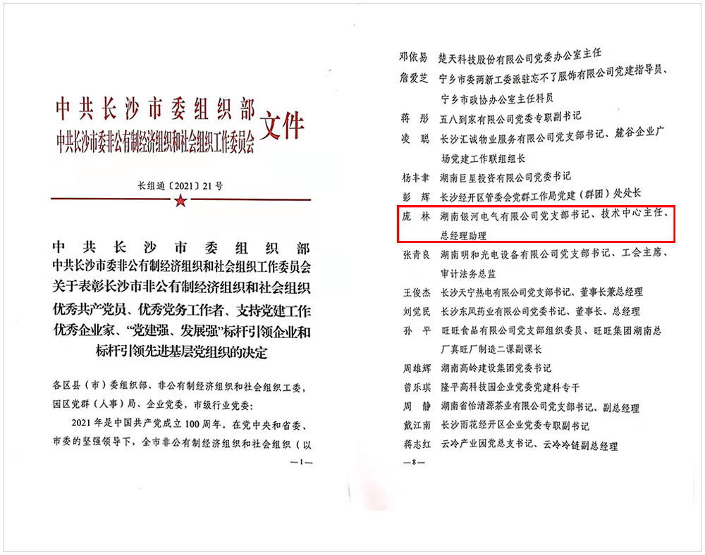 庞林同志荣获长沙市委组织部 “优秀党务工作者”称号