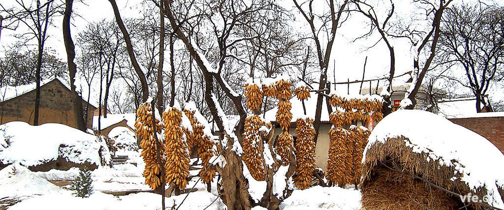 瑞雪兆丰年