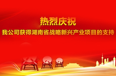 热烈庆祝我公司获得湖南省战略新兴产业项目的支持